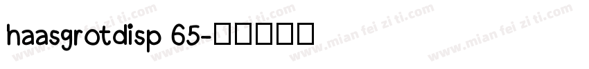 haasgrotdisp 65字体转换